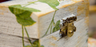 La tecnica del decoupage 775 0 006 La tecnica del Decoupage_ok